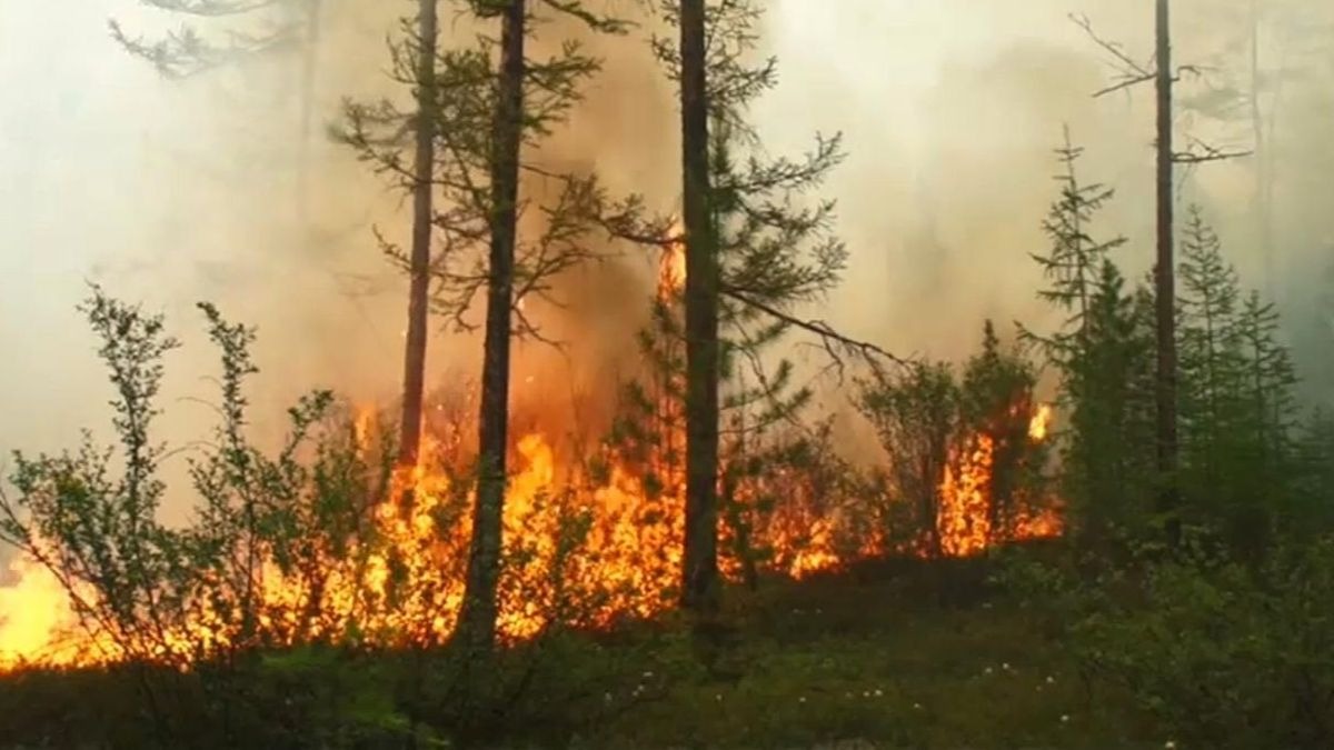 Siberia: 38 grados de temperatura en una de las ciudades más frías del mundo