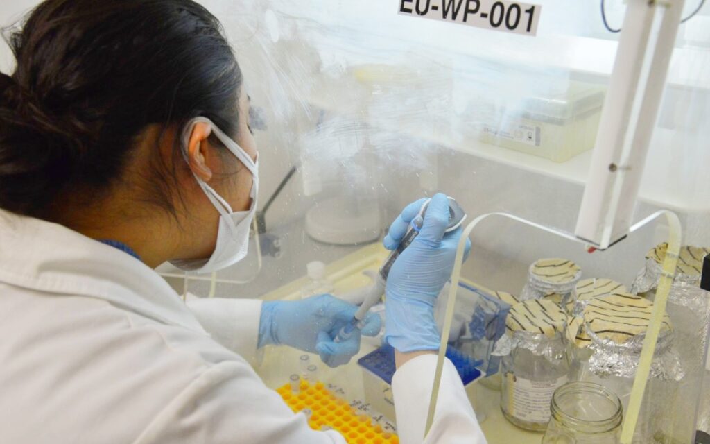 Solo 13.5% de las profesionistas se dedica a las ciencias duras
