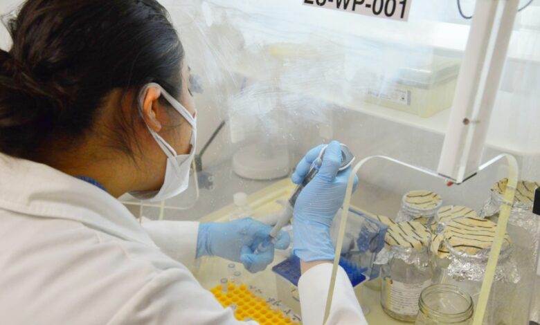 Solo 13.5% de las profesionistas se dedica a las ciencias duras