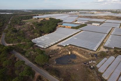 Vista aérea de una captación de agua y dos balsas entre invernaderos en Lucena del Puerto (Huelva).
