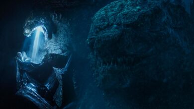 Todo lo que sabemos que hizo Godzilla después de vencer a los MUTO (y antes de KOTM)