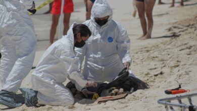Turistas hallaron posibles restos humanos en Playa Gaviotas, Cancún | Galería