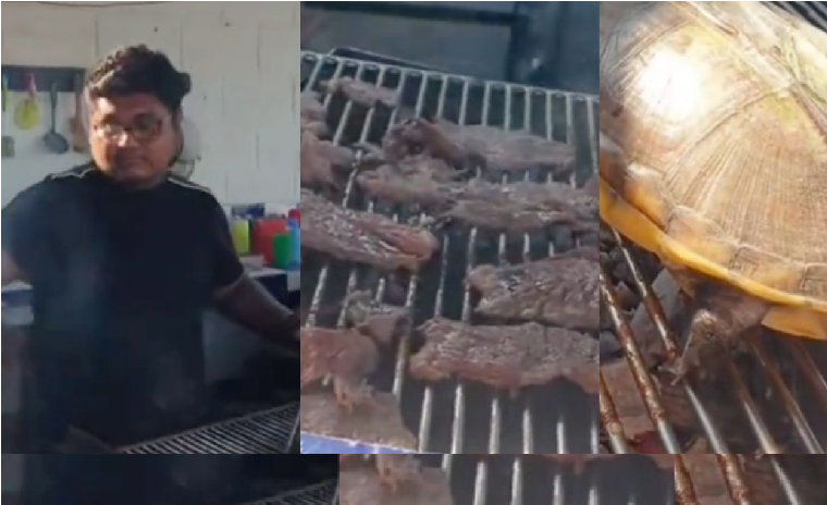 VIDEO INDIGNANTE: viralizan video donde cocinan una tortuga viva