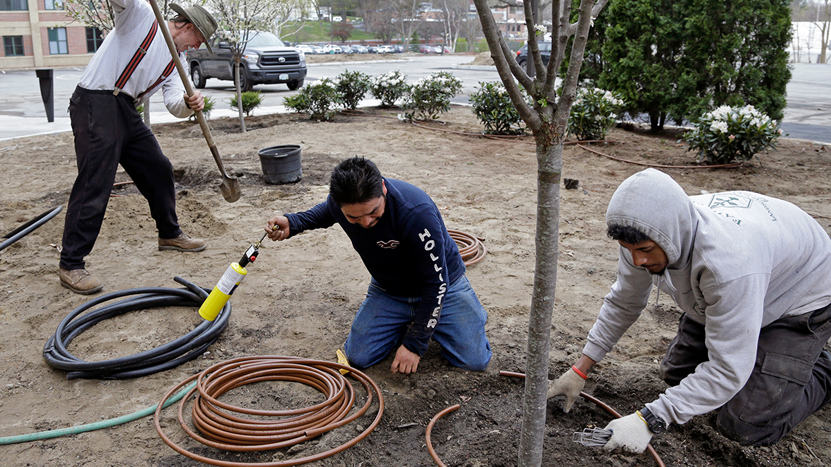 Visas para trabajar en EEUU: anuncian 35,000 cupos adicionales para este año