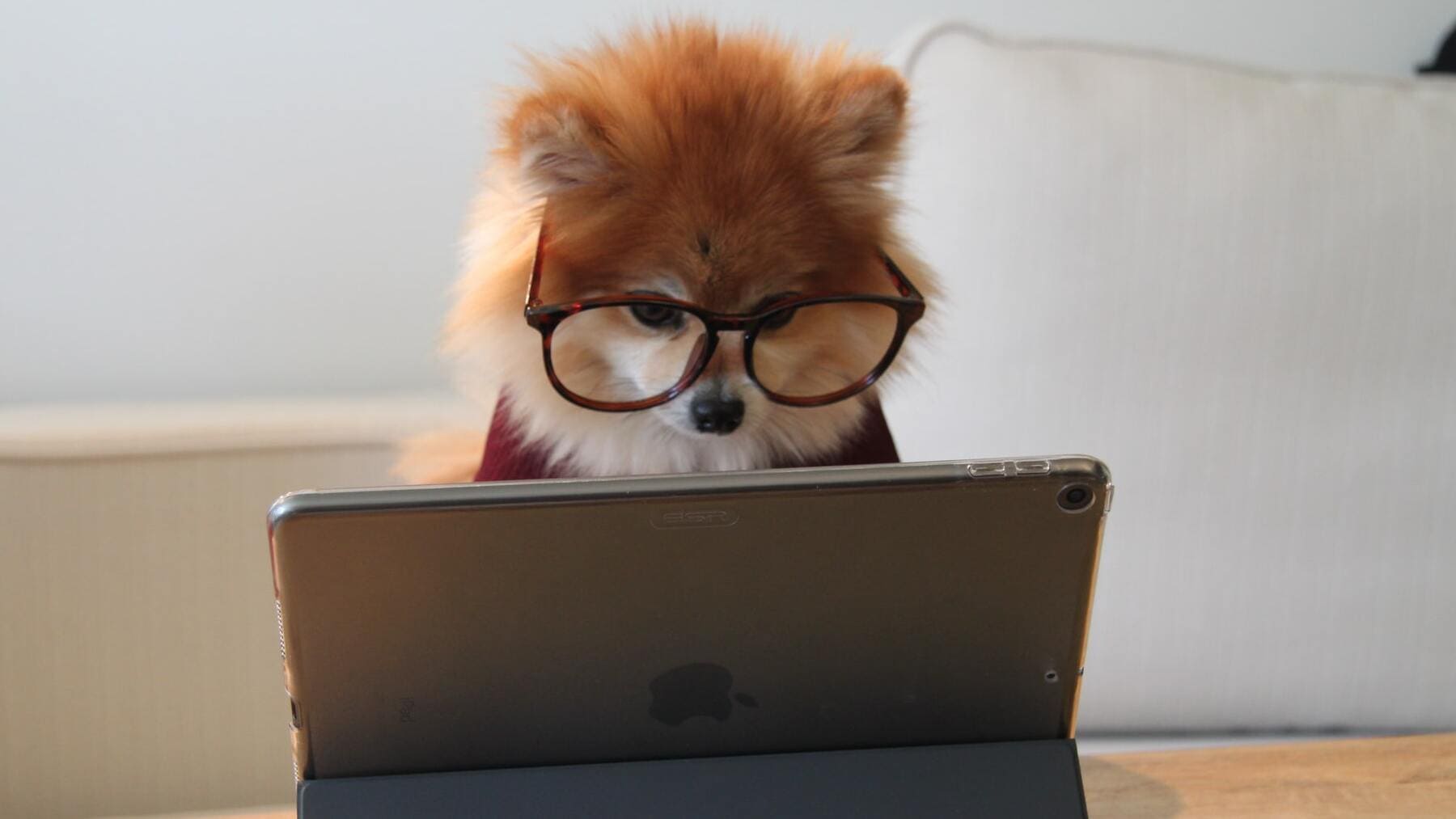 ¡El falso mito que siempre te has creído!