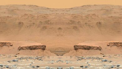 ¿Qué es el delta del río Marte y por qué va allí la perseverancia?