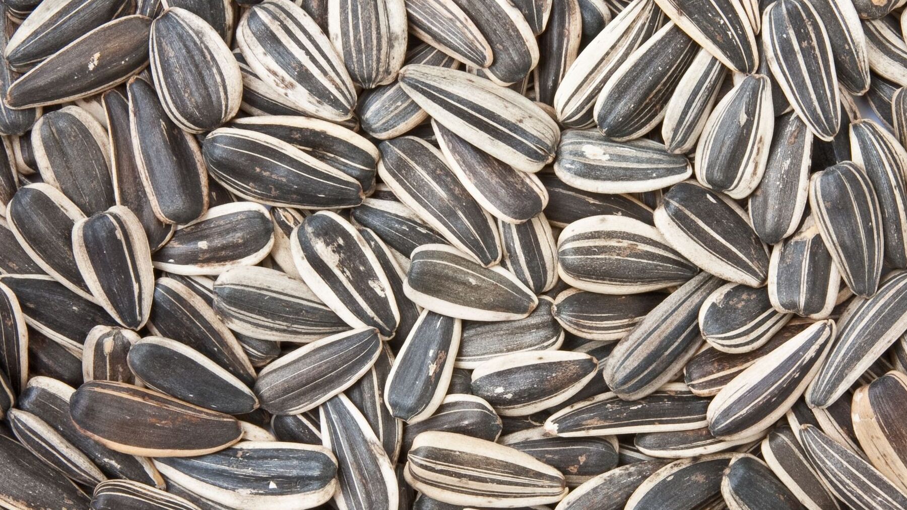 ¿Qué pasa en tu cuerpo si comes demasiadas pipas?