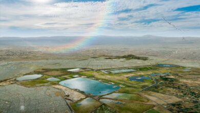 ¿Y cómo será el Parque Ecológico del Lago de Texcoco?