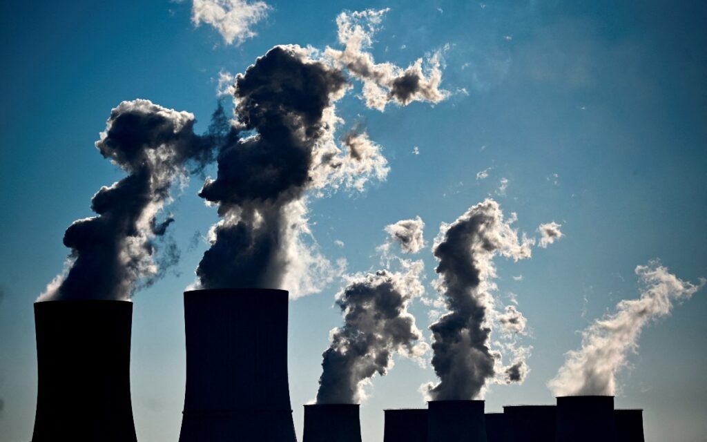 ¿Cómo contener el calentamiento global? Cultivando bosques y comiendo menos carne