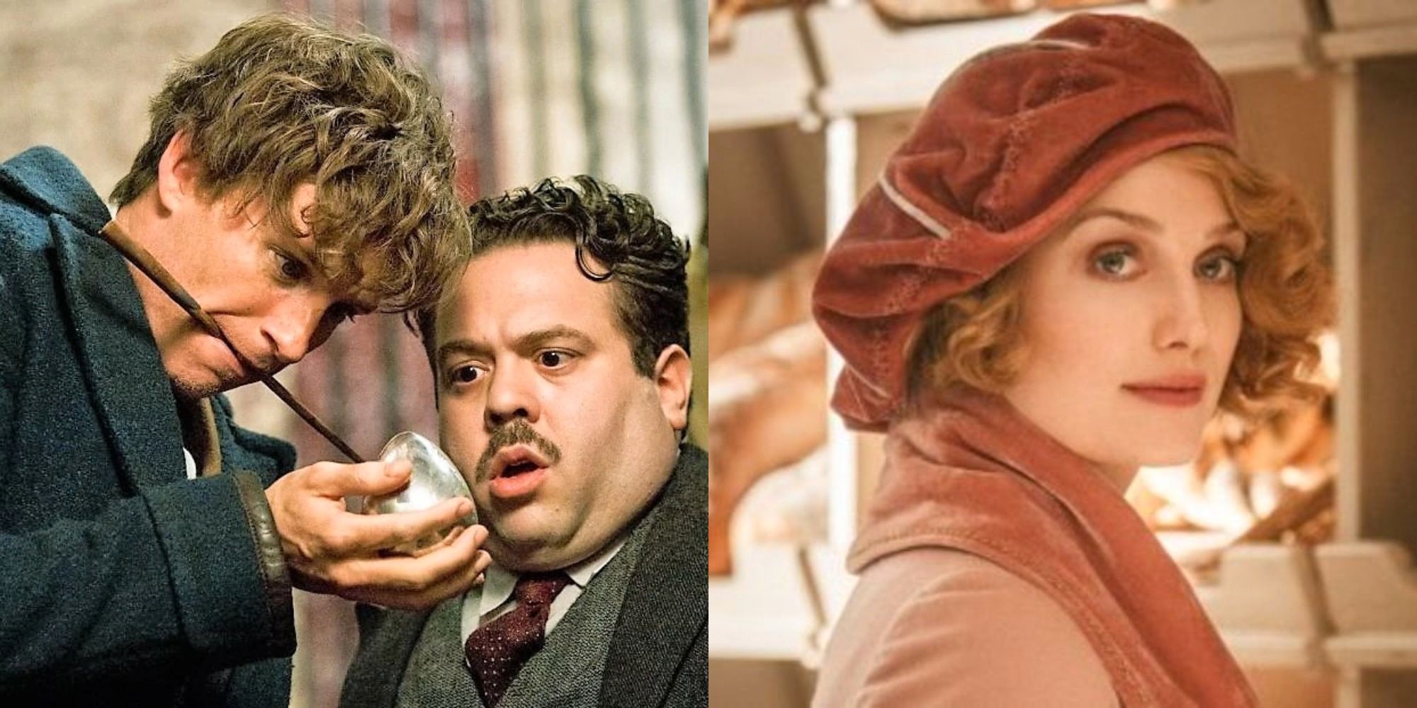 10 cosas que los fanáticos de Reddit esperan ver en Fantastic Beasts: Secrets Of Dumbledore