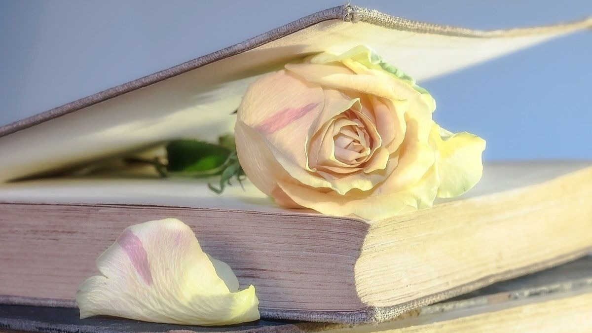 10 frases para celebrarlo y felicitar a los seres queridos