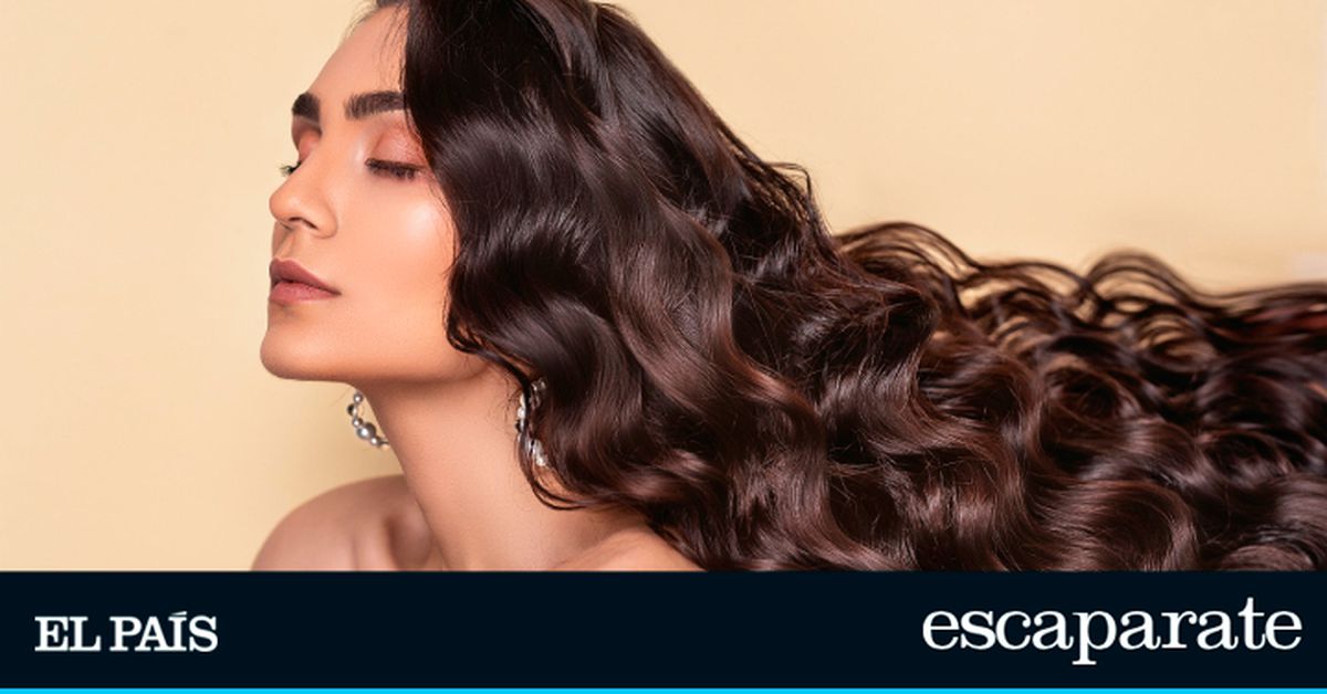 Estos son los cinco mejores champús para el cuidado del cabello recomendados por la OCU