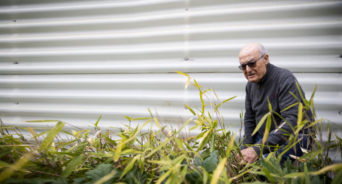 Luis Gordillo: “Duchamp se está comiendo a Picasso”