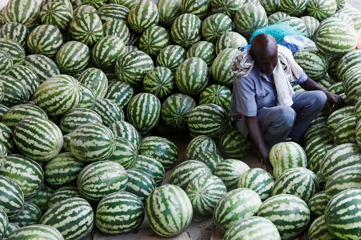 Los efectos colaterales en África por la guerra en Ucrania