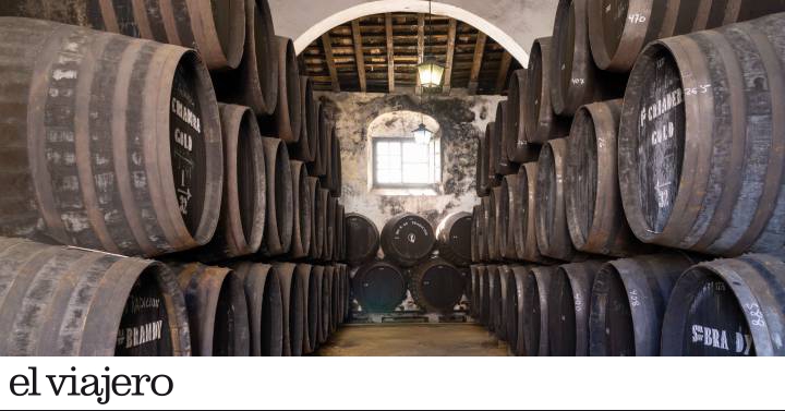 Bodegas Tradición: de vinos con Velázquez y Goya