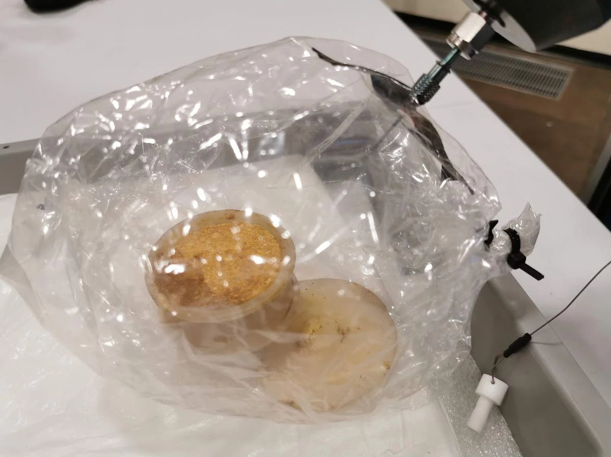 Pescado, fruta y cera de abeja: así huele una tumba noble del Antiguo Egipto