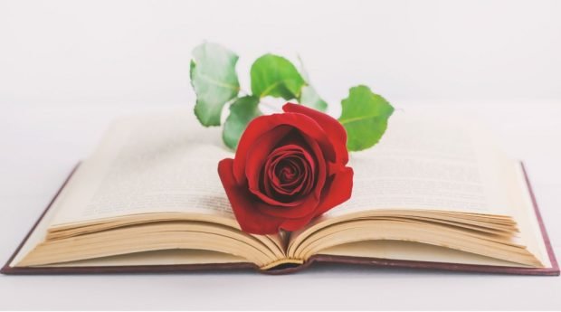 Las imágenes más originales para felicitar por WhatsApp el Día de Sant Jordi