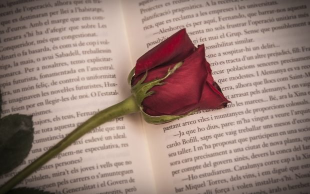 Las imágenes más originales para felicitar por WhatsApp el Día de Sant Jordi