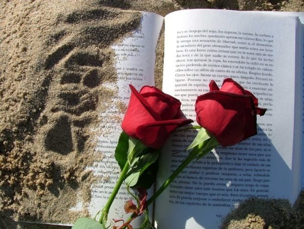 Las imágenes más originales para felicitar por WhatsApp el Día de Sant Jordi