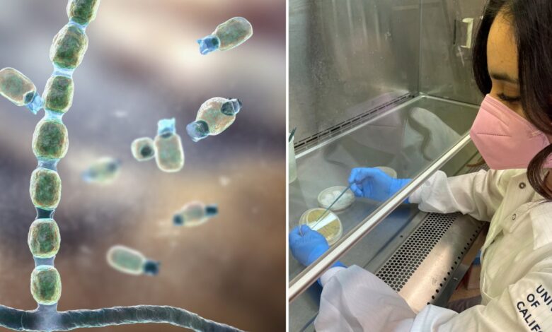 Fiebre del Valle: hispanas buscan tratamiento para infección que puedes contraer sólo con respirar