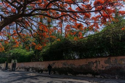 Calle Humboldt en Cuernavaca, Morelos.