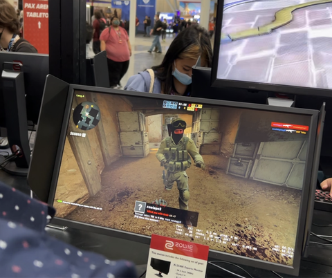 Zowie Pax este 2022 zowie paz este 2022