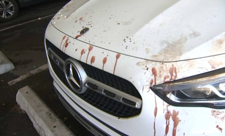 Misteriosa sangre salpicada en estacionamiento de North Arlington, Nueva Jersey