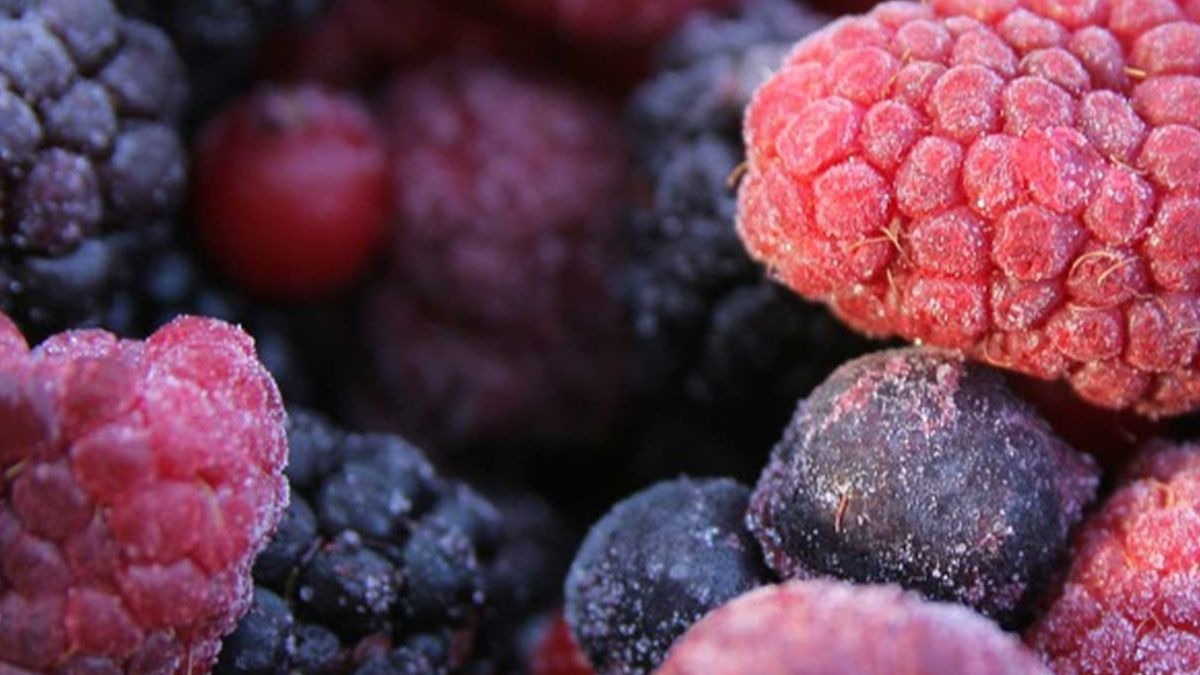 3 mitos de los alimentos congelados que no te debes creer