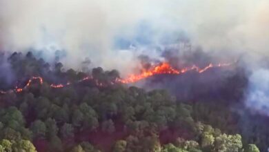 46 incendios forestales activos en México; 8 en áreas naturales protegidas: CONAFOR