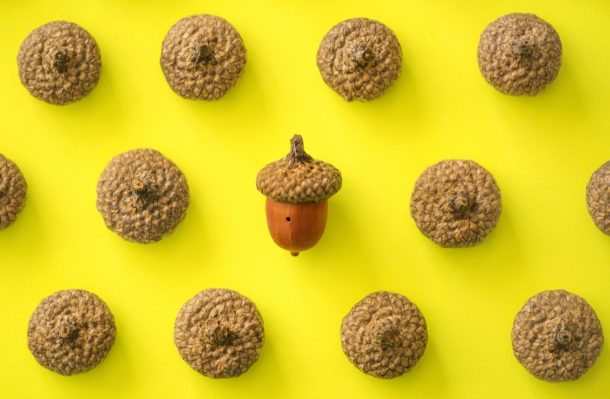 Acorns obtiene $ 300 millones de la Serie F después de desechar SPAC, que ahora vale casi $ 2 mil millones