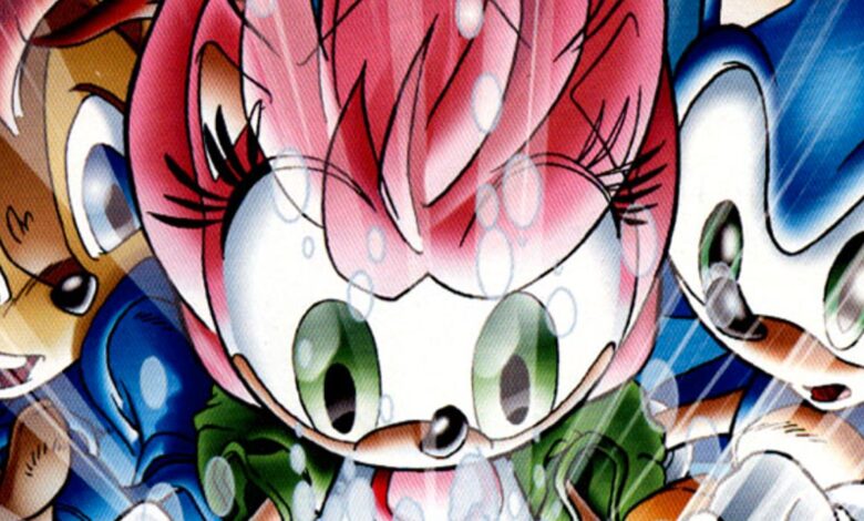 Amy Rose de Sonic nunca tuvo que ser el personaje más inútil de la serie