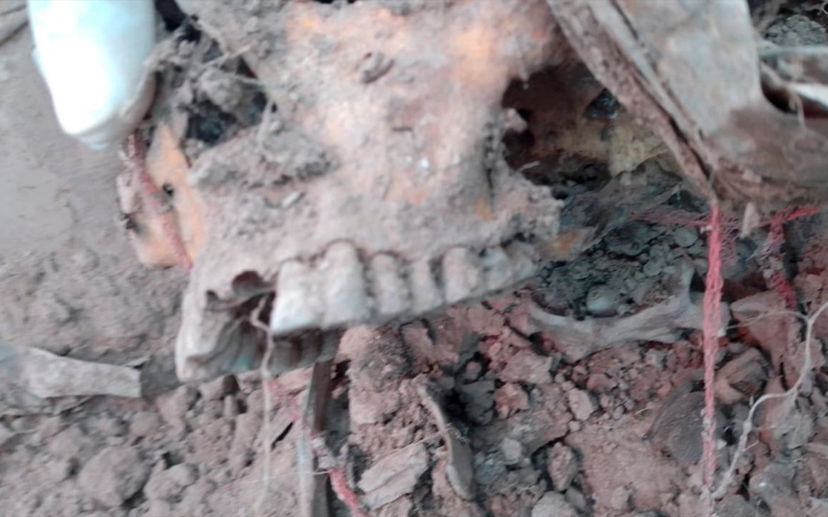 Aprueban en San Lázaro la creación del Centro Nacional de Identificación Humana