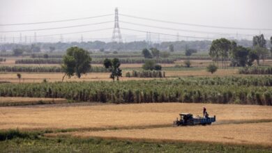 Arya de India recauda $ 60 millones para proporcionar a los agricultores servicios financieros y poscosecha
