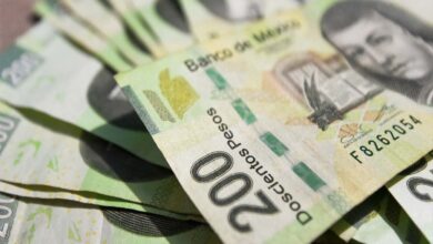 Aumenta recaudación tributaria de México; promedio en América Latina disminuye: OCDE