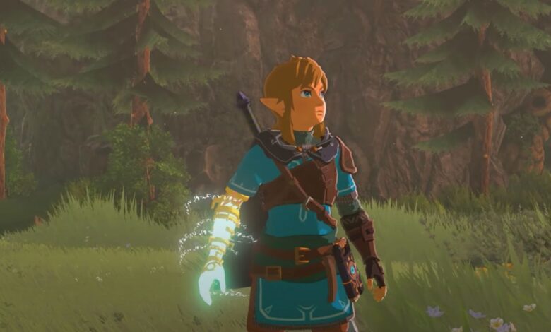 BOTW 2: Destiny Abound no es el título de la secuela de Breath of the Wild