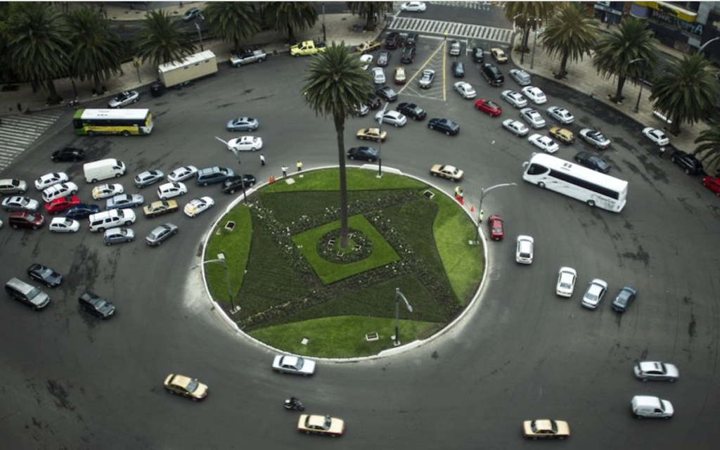 CDMX: la palmera plantada hace 100 años en la Glorieta de la Palma podría ser retirada
