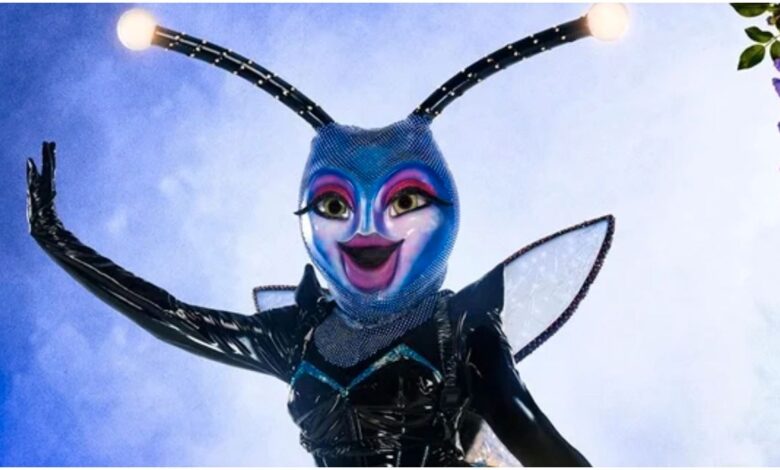Cantante enmascarado: la identidad de Firefly sigue siendo un secreto después de que un tweet falso engaña a los fanáticos