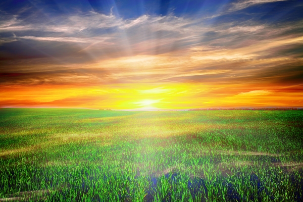 CloudSolar ayuda a los fanáticos de las energías renovables que no pueden instalar sus propios paneles solares