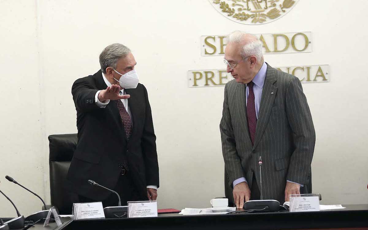 Comisiones del Senado aprueban nombramiento de Aysa González como embajador en Dominicana