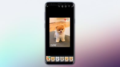Cómo crear fotos divertidas de WhatsApp con pegatinas, texto y filtros