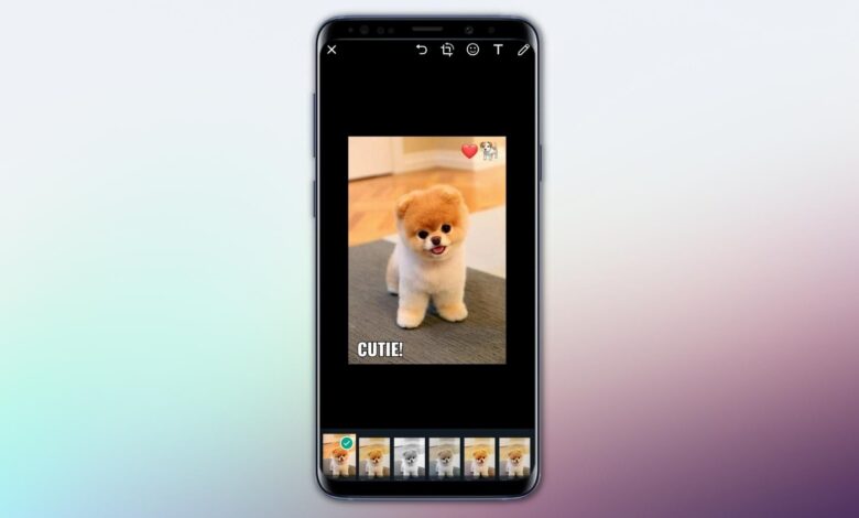 Cómo crear fotos divertidas de WhatsApp con pegatinas, texto y filtros