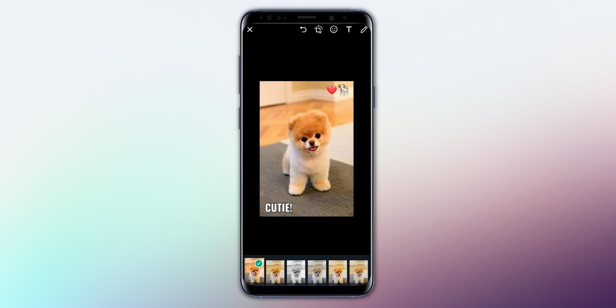 Cómo crear fotos divertidas de WhatsApp con pegatinas, texto y filtros