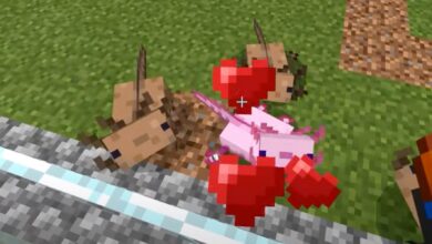 Cómo criar ajolotes en Minecraft