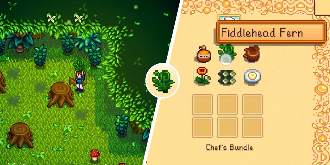 Cómo obtener helechos Fiddlehead en Stardew Valley