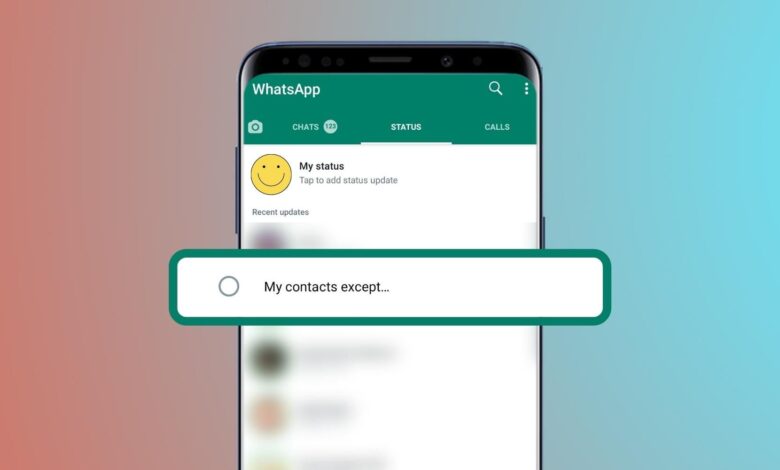 Cómo ocultar las actualizaciones de estado de WhatsApp de contactos específicos