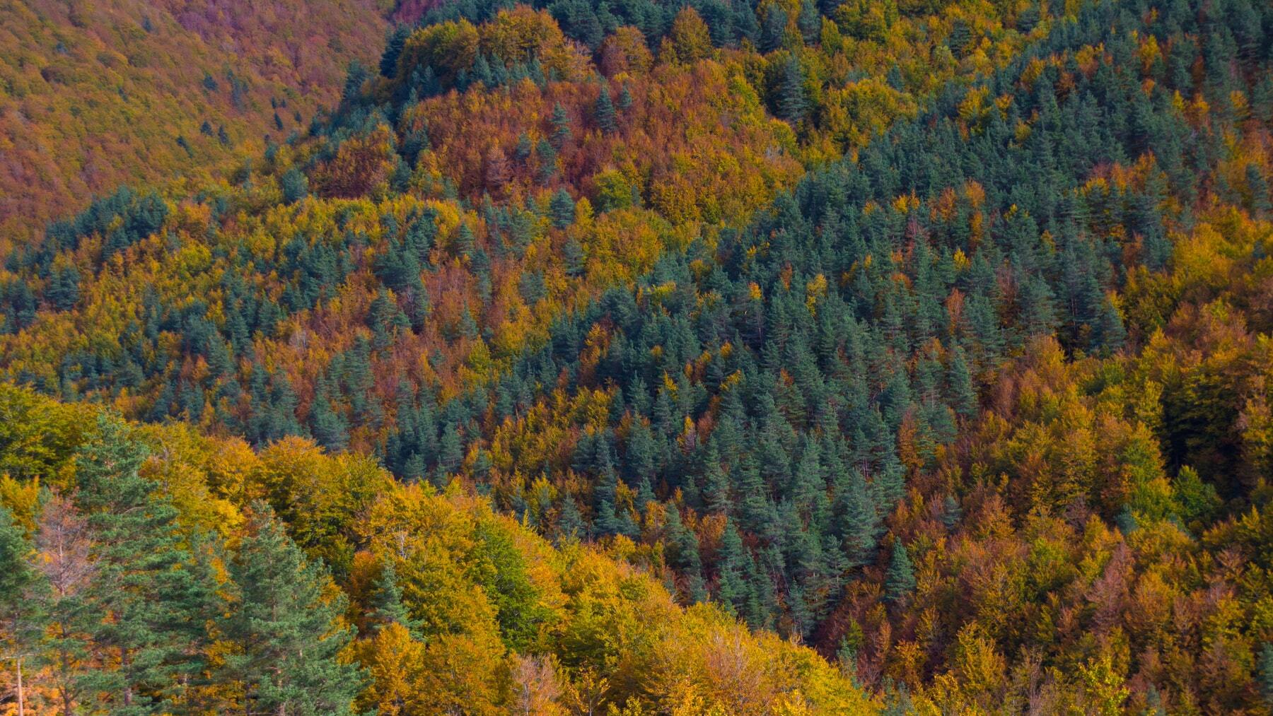 Conecta con la naturaleza y desconecta por completo de la rutina visitando uno de los lugares más mágicos de España