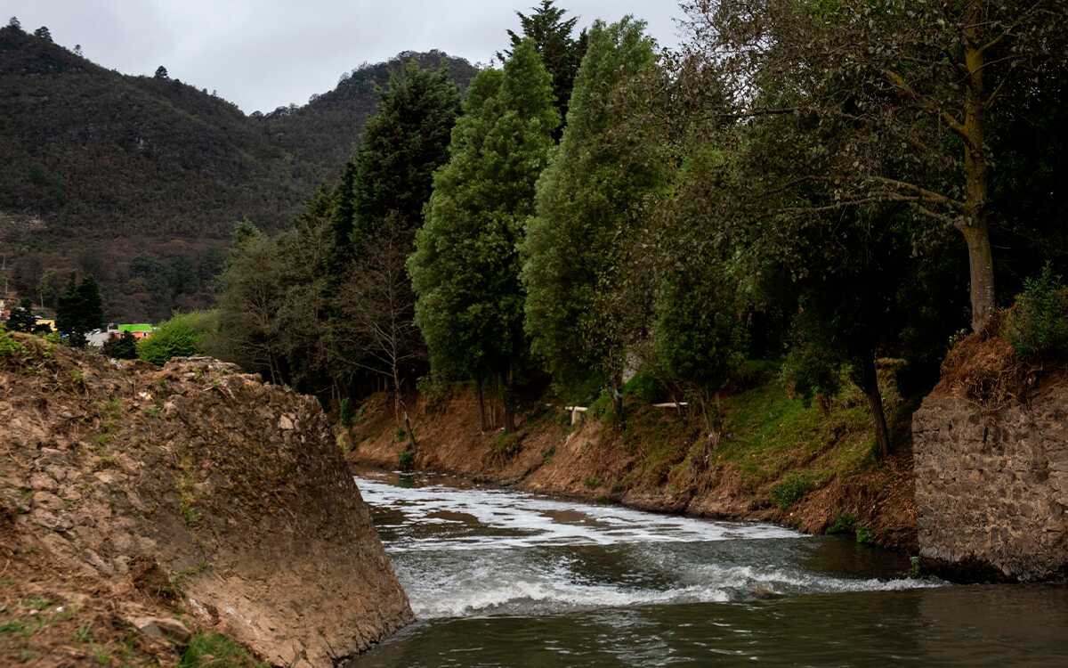 Defensoras ambientales llaman a la aplicación del Acuerdo de Escazú en México
