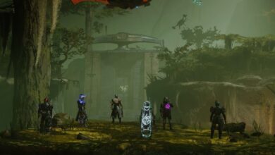Destiny 2: Cómo completar el desafío Caretaker en Vow of The Disciple