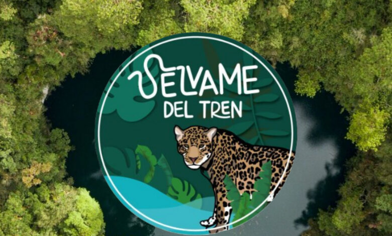 Diálogo cancelado evidencia que gobierno carece de estudios de impacto del Tren Maya: #SelvamedelTren