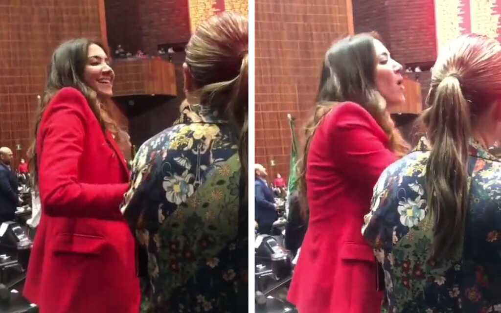 Diputada del PRI se retracta tras presumir que es 'pluri' y no tiene que buscar el voto